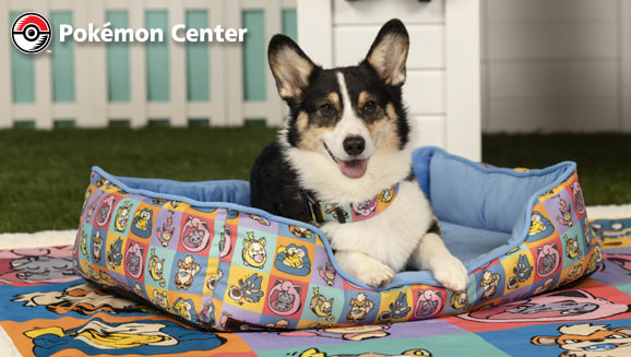 Put Your Paws Up for Pokémon Playful Partners at the Pokémon Center
