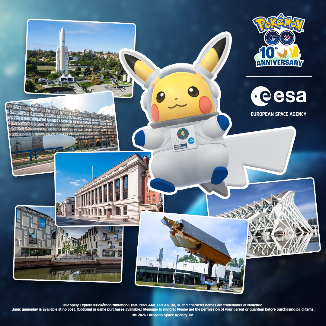 Pikachu ESA Merchandise